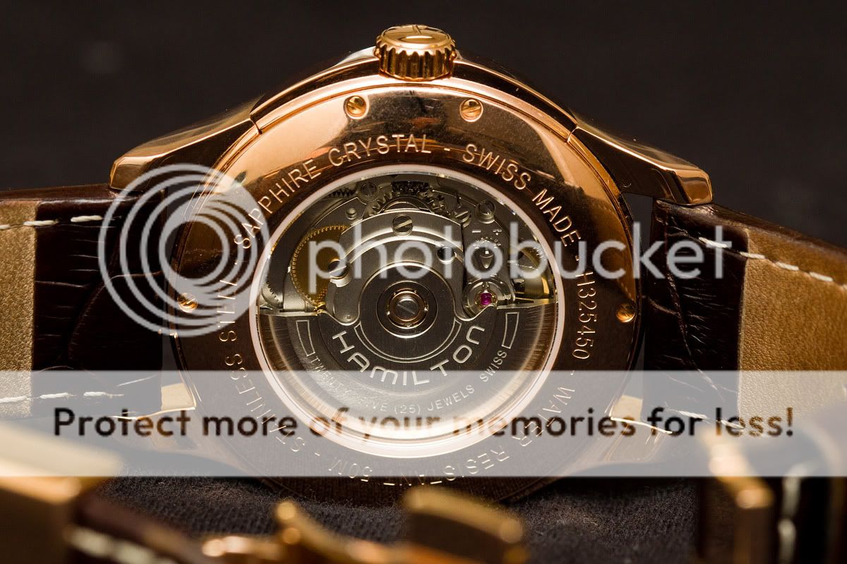 hamilton viewmatic gold